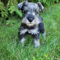 processed/dce86e4c-490c-4e94-9af8-0a9e9d1dec30/facility/4ccad5c1-8897-484f-96a7-dd722b2e10ed