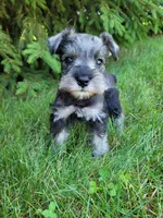 processed/dce86e4c-490c-4e94-9af8-0a9e9d1dec30/facility/4ccad5c1-8897-484f-96a7-dd722b2e10ed