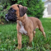 processed/dce86e4c-490c-4e94-9af8-0a9e9d1dec30/facility/86c94b61-32c5-4197-9aa5-23712d5aabfb