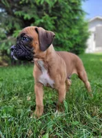 processed/dce86e4c-490c-4e94-9af8-0a9e9d1dec30/facility/86c94b61-32c5-4197-9aa5-23712d5aabfb