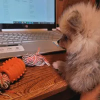 processed/dce86e4c-490c-4e94-9af8-0a9e9d1dec30/facility/8c2bb9e6-e151-4440-93c3-9a533bd5a822