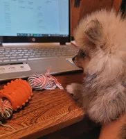 processed/dce86e4c-490c-4e94-9af8-0a9e9d1dec30/facility/8c2bb9e6-e151-4440-93c3-9a533bd5a822