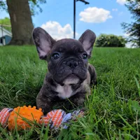 processed/dce86e4c-490c-4e94-9af8-0a9e9d1dec30/facility/c8747000-a38e-4d2a-9135-e5b52005e628