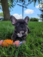 processed/dce86e4c-490c-4e94-9af8-0a9e9d1dec30/facility/c8747000-a38e-4d2a-9135-e5b52005e628