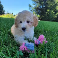 processed/dce86e4c-490c-4e94-9af8-0a9e9d1dec30/facility/e68d322d-858f-4e39-a8cb-a2d01d118734