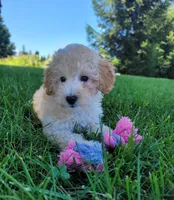 processed/dce86e4c-490c-4e94-9af8-0a9e9d1dec30/facility/e68d322d-858f-4e39-a8cb-a2d01d118734