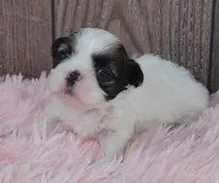 processed/dce86e4c-490c-4e94-9af8-0a9e9d1dec30/listing/4a361b4e-e7c3-494c-9268-0fa6332892cc/4a642c4e-586c-4f88-8be2-6458c576deaa