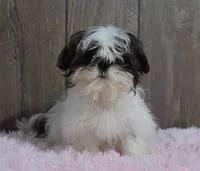 processed/dce86e4c-490c-4e94-9af8-0a9e9d1dec30/listing/4a361b4e-e7c3-494c-9268-0fa6332892cc/4ad13c1a-3073-4925-8b52-824bab9c5315