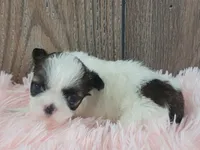 processed/dce86e4c-490c-4e94-9af8-0a9e9d1dec30/listing/4a361b4e-e7c3-494c-9268-0fa6332892cc/9a2f476a-3a82-456b-b758-6d254bcd33a4