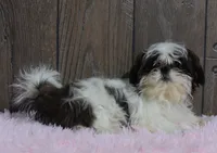 processed/dce86e4c-490c-4e94-9af8-0a9e9d1dec30/listing/4a361b4e-e7c3-494c-9268-0fa6332892cc/a1aa7e1d-44b5-48a1-b904-583d9aca7dc1