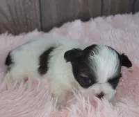 processed/dce86e4c-490c-4e94-9af8-0a9e9d1dec30/listing/4a361b4e-e7c3-494c-9268-0fa6332892cc/b143e145-4a74-4d61-a78a-6eb629eb24dd