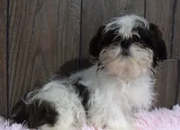 processed/dce86e4c-490c-4e94-9af8-0a9e9d1dec30/listing/4a361b4e-e7c3-494c-9268-0fa6332892cc/f9581d27-343f-49ab-8b95-68241a5c987f