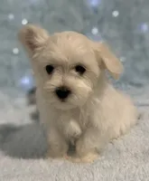 processed/dce86e4c-490c-4e94-9af8-0a9e9d1dec30/listing/4c05d8b2-9b6a-48e2-b5f5-ac69b924f885/1faa920b-f0f4-4d4e-b798-a370ff8d3905