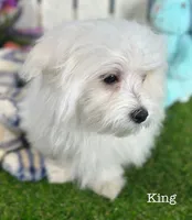 processed/dce86e4c-490c-4e94-9af8-0a9e9d1dec30/listing/4c05d8b2-9b6a-48e2-b5f5-ac69b924f885/5244d4bc-8efd-498c-84b4-0fae23cfc27c