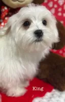 processed/dce86e4c-490c-4e94-9af8-0a9e9d1dec30/listing/4c05d8b2-9b6a-48e2-b5f5-ac69b924f885/52c4e59f-ac5c-4980-a4bf-c54fbbe2c6ca