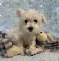 processed/dce86e4c-490c-4e94-9af8-0a9e9d1dec30/listing/4c05d8b2-9b6a-48e2-b5f5-ac69b924f885/87abff4d-392f-4ae7-8b0b-1c9f1d2129d9