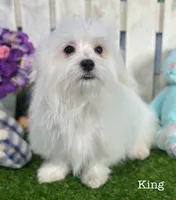 processed/dce86e4c-490c-4e94-9af8-0a9e9d1dec30/listing/4c05d8b2-9b6a-48e2-b5f5-ac69b924f885/9c0be24d-5029-4578-bdd1-20938542a5c1