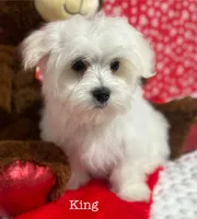 processed/dce86e4c-490c-4e94-9af8-0a9e9d1dec30/listing/4c05d8b2-9b6a-48e2-b5f5-ac69b924f885/c93c4889-22de-454e-97a1-4eae164563ee