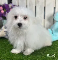 processed/dce86e4c-490c-4e94-9af8-0a9e9d1dec30/listing/4c05d8b2-9b6a-48e2-b5f5-ac69b924f885/d2d3d33c-8a78-456c-93e6-b595a0583c52