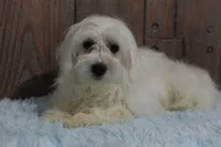 processed/dce86e4c-490c-4e94-9af8-0a9e9d1dec30/listing/4ce0d1b6-5014-40ad-98a5-d166ac86e76d/00782d9b-b1f9-4927-be6b-8fedd2077f49