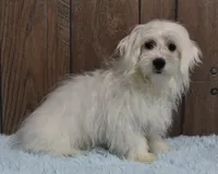 processed/dce86e4c-490c-4e94-9af8-0a9e9d1dec30/listing/4ce0d1b6-5014-40ad-98a5-d166ac86e76d/795e3c11-a36f-4ebc-b169-5e13bdda0438