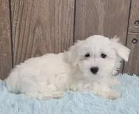 processed/dce86e4c-490c-4e94-9af8-0a9e9d1dec30/listing/4ce0d1b6-5014-40ad-98a5-d166ac86e76d/bc999812-152d-4bae-9fbc-0696c991c4fe