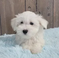 processed/dce86e4c-490c-4e94-9af8-0a9e9d1dec30/listing/4ce0d1b6-5014-40ad-98a5-d166ac86e76d/c95c7263-9f13-4236-8feb-e9fc221fa244