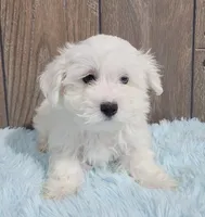 processed/dce86e4c-490c-4e94-9af8-0a9e9d1dec30/listing/4ce0d1b6-5014-40ad-98a5-d166ac86e76d/f33cfaa8-931b-483c-bb3b-4a588f1b2d78