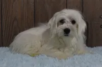 processed/dce86e4c-490c-4e94-9af8-0a9e9d1dec30/listing/4ce0d1b6-5014-40ad-98a5-d166ac86e76d/fcbbcaae-b85a-437f-a7f1-bd4ff4ecf607