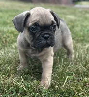 processed/dce86e4c-490c-4e94-9af8-0a9e9d1dec30/listing/7e279332-b07e-42e7-b2cd-d17d182abc9b/03657b28-2d76-4bc4-ab2c-45bedc89d970