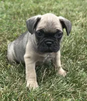 processed/dce86e4c-490c-4e94-9af8-0a9e9d1dec30/listing/7e279332-b07e-42e7-b2cd-d17d182abc9b/47ae6817-ece9-4c47-a4e9-156179e383d2