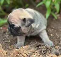 processed/dce86e4c-490c-4e94-9af8-0a9e9d1dec30/listing/7e279332-b07e-42e7-b2cd-d17d182abc9b/8e31c824-252f-4dd0-9ccb-ecc95f2a332a