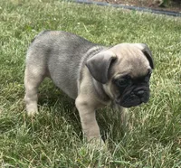 processed/dce86e4c-490c-4e94-9af8-0a9e9d1dec30/listing/7e279332-b07e-42e7-b2cd-d17d182abc9b/b4183bde-101a-4716-993f-784d56d762ca