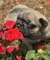 processed/dce86e4c-490c-4e94-9af8-0a9e9d1dec30/listing/7e279332-b07e-42e7-b2cd-d17d182abc9b/bd5539f3-73d4-4881-a79c-50e4df6edf90