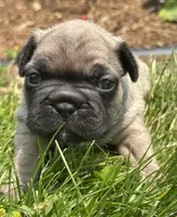 processed/dce86e4c-490c-4e94-9af8-0a9e9d1dec30/listing/7e279332-b07e-42e7-b2cd-d17d182abc9b/c818853b-a5d8-43cc-b3fd-86b097313979