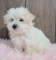 processed/dce86e4c-490c-4e94-9af8-0a9e9d1dec30/listing/9867c242-3621-4996-a924-13e879a1a74e/80c460ea-052b-476f-a6e5-efcdbed49bac