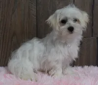 processed/dce86e4c-490c-4e94-9af8-0a9e9d1dec30/listing/9867c242-3621-4996-a924-13e879a1a74e/92d6cdb8-eb5c-4836-b1ac-790aebf87925