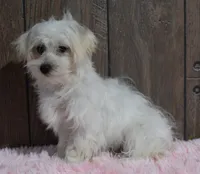 processed/dce86e4c-490c-4e94-9af8-0a9e9d1dec30/listing/9867c242-3621-4996-a924-13e879a1a74e/e56339f5-bca4-46dd-9628-eefe4486aeab