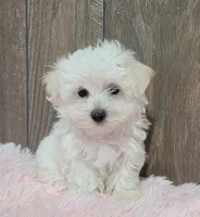 processed/dce86e4c-490c-4e94-9af8-0a9e9d1dec30/listing/9867c242-3621-4996-a924-13e879a1a74e/e651ef32-d2a4-4043-8d5b-5579aec0762a