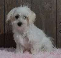 processed/dce86e4c-490c-4e94-9af8-0a9e9d1dec30/listing/9867c242-3621-4996-a924-13e879a1a74e/f5530ac6-e5c3-410c-a37c-0e4fd8bcede8