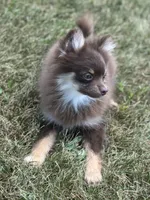 processed/dce86e4c-490c-4e94-9af8-0a9e9d1dec30/listing/a35a72e0-6d4d-41e5-8df5-95783d0c4998/1b55e1c0-725c-4d1b-8160-636f21c19f9b