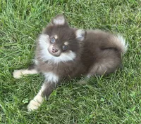 processed/dce86e4c-490c-4e94-9af8-0a9e9d1dec30/listing/a35a72e0-6d4d-41e5-8df5-95783d0c4998/2673d730-0d7b-4c6c-bd5b-4ecb207b08fb