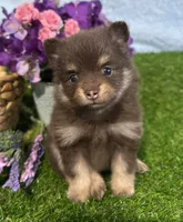 processed/dce86e4c-490c-4e94-9af8-0a9e9d1dec30/listing/a35a72e0-6d4d-41e5-8df5-95783d0c4998/31ba6dd0-26c0-4186-a2ad-96582bb85984