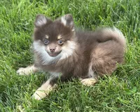 processed/dce86e4c-490c-4e94-9af8-0a9e9d1dec30/listing/a35a72e0-6d4d-41e5-8df5-95783d0c4998/45698092-57cb-4b1c-b4a9-1e0fbd700fda