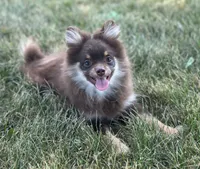 processed/dce86e4c-490c-4e94-9af8-0a9e9d1dec30/listing/a35a72e0-6d4d-41e5-8df5-95783d0c4998/5dc47a6c-f4e5-4ed1-8629-00df6d78a212