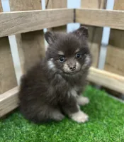 processed/dce86e4c-490c-4e94-9af8-0a9e9d1dec30/listing/a35a72e0-6d4d-41e5-8df5-95783d0c4998/5f342525-94db-437b-837d-23475ef2886f