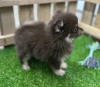 processed/dce86e4c-490c-4e94-9af8-0a9e9d1dec30/listing/a35a72e0-6d4d-41e5-8df5-95783d0c4998/61f77cf8-8baa-4eca-af75-b01d9e061bb8