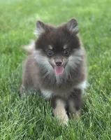 processed/dce86e4c-490c-4e94-9af8-0a9e9d1dec30/listing/a35a72e0-6d4d-41e5-8df5-95783d0c4998/988030bc-d924-4fe9-b733-514c982943af