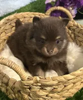 processed/dce86e4c-490c-4e94-9af8-0a9e9d1dec30/listing/a35a72e0-6d4d-41e5-8df5-95783d0c4998/faa8eb91-af58-4d15-99ee-9ecc6a6b456b