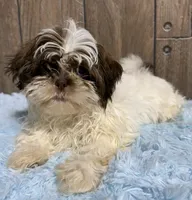 processed/dce86e4c-490c-4e94-9af8-0a9e9d1dec30/listing/b14d8bcb-40fa-4081-8735-f2628081a35d/165ac2b6-9e4c-4712-920c-3e0079718f15